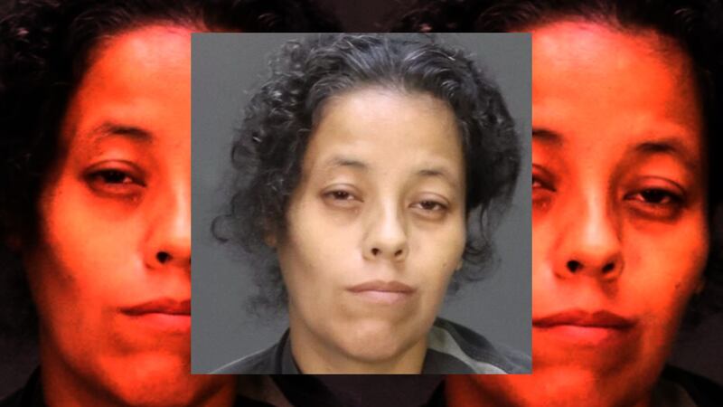 Ana Delia Ruiz, de 40 años, permanece en prisión bajo fianza por un total de 23.000 dólares...