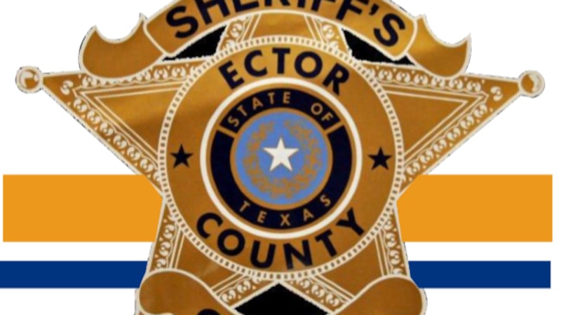 ECSO logo