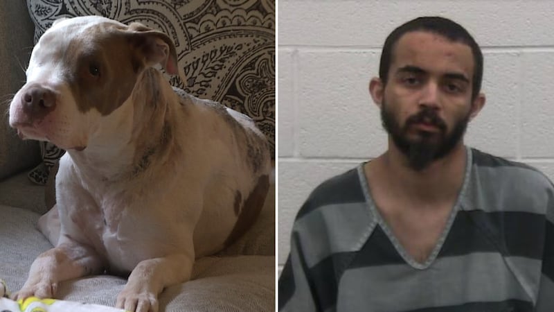 Dog dog was stabbed and left for dead in the midst of a barricade situation that lasted over...